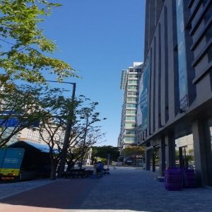 9/22~9/26 LS오토모티브 사옥이전